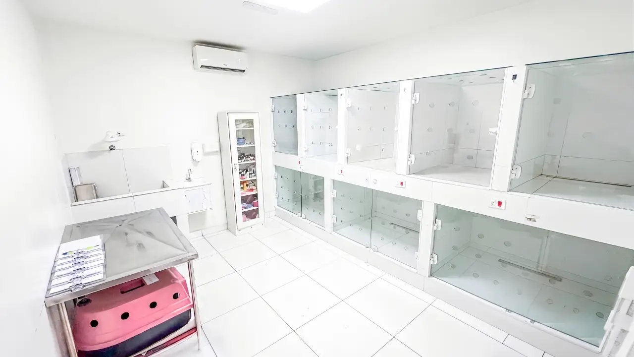 Consultório Veterinário Unidade Barueri